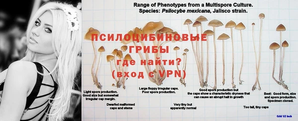 прущая мука Струнино