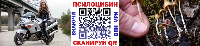 купить закладку  Скопин  Галлюциногенные грибы Magic Shrooms 