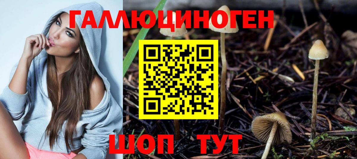 Псилоцибиновые грибы прущие грибы  Вход с VPN  Скопин 