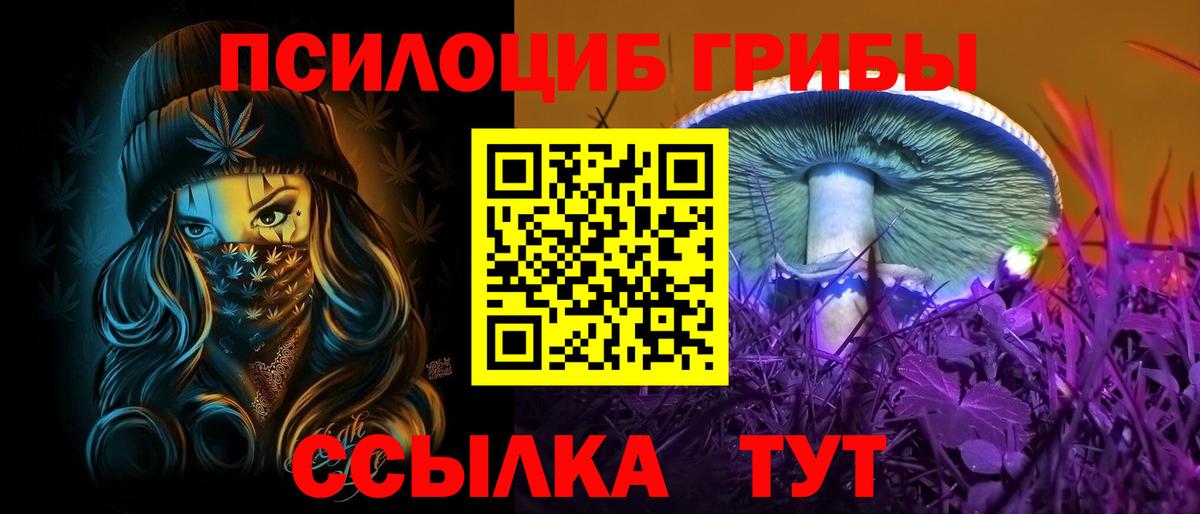 Галлюциногенные грибы прущие грибы Скопин